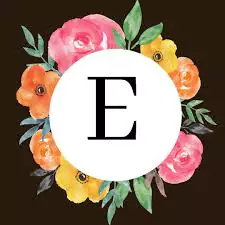 e name image e name image